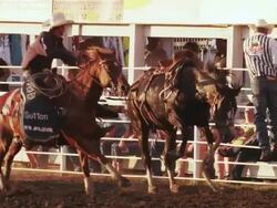 Bucking bronc running loose in rodeo ring shot in slow motion. Stock Footage