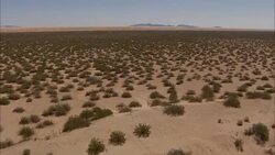 Scrub bushes dot dry plains in a California desert. Stock Footage