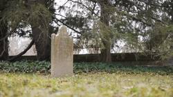 What is Sociology? Instructional Video