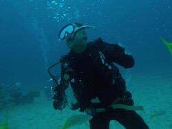 MS SLO MO Shot of Barracuda catching fake fish from mouth of male diver underwate / Key Large, Florida, United States Stock Footage