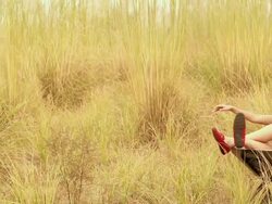 Three young women playing with a wheelbarrow in the forest, Delhi, India Stock Footage