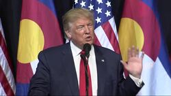 Trump Says He 'Brilliantly' Used Tax Laws News Clip