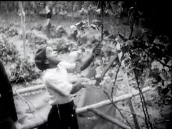 KENT'S HOP HARVEST News Clip