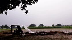 Irrigation Stock Footage