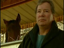 Interview with William Shatner Stock Footage