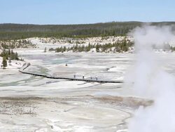 yellowstone national park - tourists walking amongst geysers Stock Footage