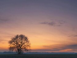HD TIME-LAPSE: Beautiful Nature Scene At Sunset Stock Footage