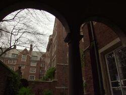 ATMOSPHERE - Yale University Campus B-Roll Stock Footage