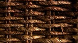 Wattle (pleat) background Stock Footage