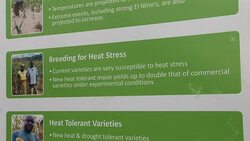 CLEAN : Drought hit Zimbabwe farmers look to science to save crops News Clip