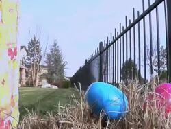 Easter Egg Hunt Stock Footage