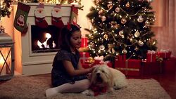 Best Christmas Gift Stock Footage