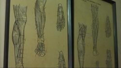 Consultorio mÃƒÂ©dico privado en Cuba ofrece servicios a pacientes News Clip