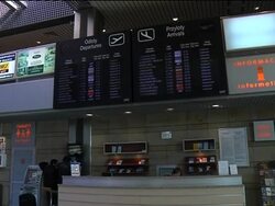 WRAP Volcanic ash continues to disrupt air travel, car rentals, Poland News Clip