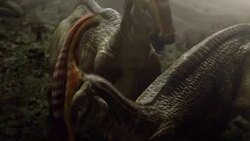 A pair of Parasauropholus dinosaurs mate in a computer generated animation. Stock Footage