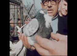 RR8048/1 SPL ANIMALS ON PARADE News Clip