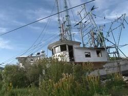 Medium Shot Low Angle - Boat grounded on grassy area / New Orleans Louisiana Stock Footage