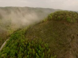  WS AERIAL View of deforestation and smoke / Virginia, United States Stock Footage
