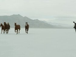Horses running with cowboys riding across salt flats. Stock Footage