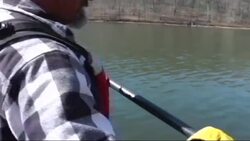 Biologists are studying fish in Tennessee Valley Authority lakes by using "electrofishing" to stun them. After they are temporarily incapacitated by a low level current, fish eerily rise to the surface where they are examined and tossed back. (April 7) News Clip