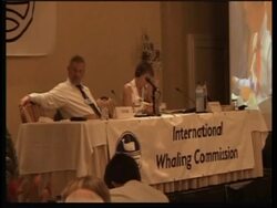 Tough negotiations continue at conf on whale hunting policies News Clip