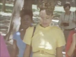 Central Park Stock Footage