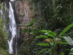 Waterfall in deep forest Stock Footage