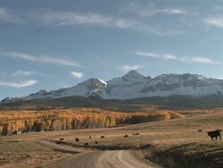 MS PAN View of Majestic Rocky Mountains Peaks, Brillant Yellow Aspen Trees / Telluride, Colorado, United States Stock Footage