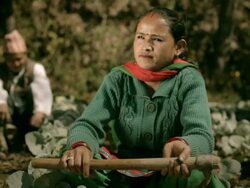 People of Nepal: Happy farmers in cabbage farm. Stock Footage