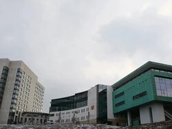 Schalke 04 Training Session - Editorial Footage Stock Footage