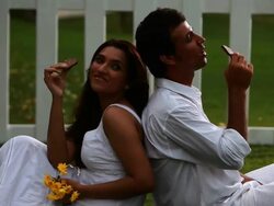Couple eating chocolate in the garden  Stock Footage