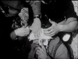 CRITICAL FIGHTING IN SPAIN - News Clip