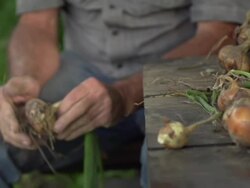 SLOW MOTION: Farmer Stock Footage