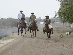 Cuban cowboys on horses riding in rural country near Trinidad Cuba Stock Footage