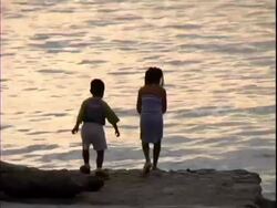 Throwing stones into Ocean Stock Footage