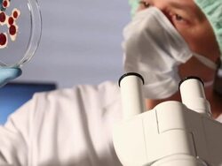 Scientific Research - Bacterium Stock Footage