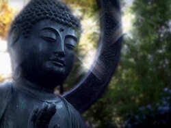 Garden Buddha Stock Footage