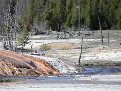 Yellowstone - stream by hot springs Stock Footage