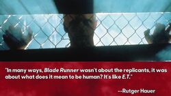 Rutger Hauer Chimes In on 'Blade Runner' Sequel & Why Movies Today “Lack Balls” | THR News News Clip