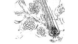 Doris Kim Sung: Metal that breathes Instructional Video