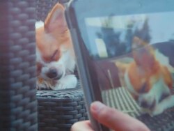 Women browsing digital tablet take picture Stock Footage