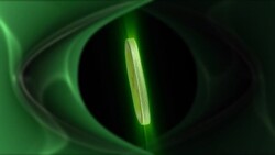 A lime slice rotates against a green background. Stock Footage