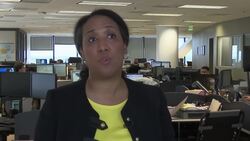 Analyst breaks down US midterm election results News Clip