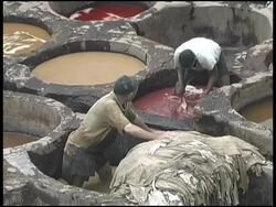 Fez Leather Dye Workers, Morocco Stock Footage