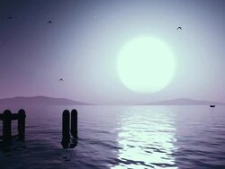 Mystic night Stock Footage