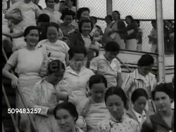 Hawaiian air travel Instructional Video