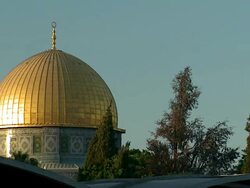 MS Golden Dome of Rock through trees / Jerusalem, Israel  Stock Footage