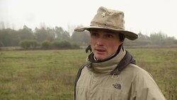 Project to save a local breed of buffalo News Clip