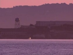 alcatraz Stock Footage