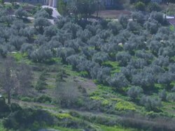 Aerial the Trappists Monastery in Latrun, Judea, Israel Stock Footage